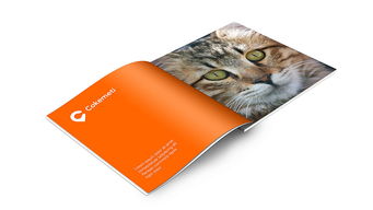 酷客美地企業形象設計 塑造品牌靈魂，引領市場潮流